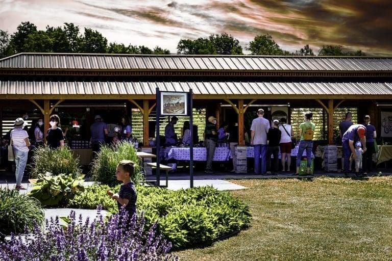 Image du marché public